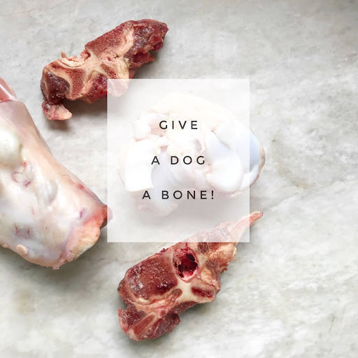 From the Archives: Give a dog a bone!